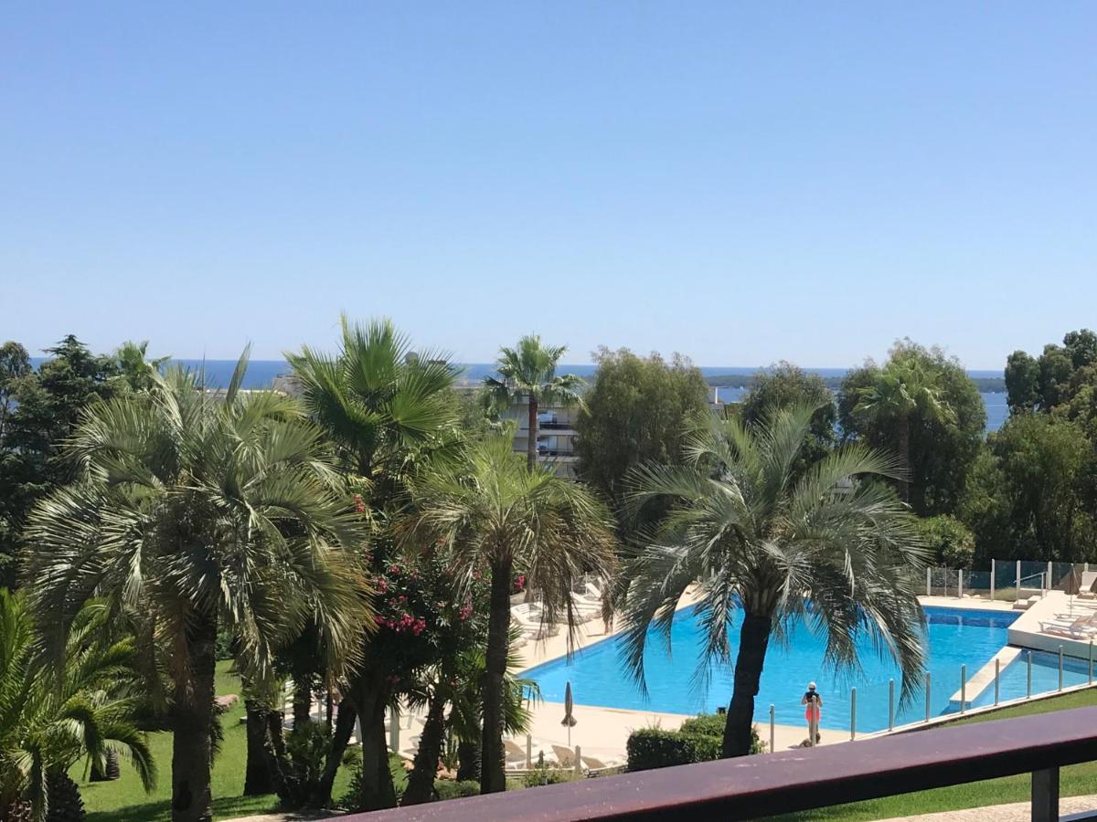 Appartement 2 Chambres Vue Mer Panoramique, Proche Croisette Cannes 발로리스 외부 사진